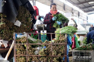 濟南憑雙證才能賣韭菜 出問題直接找源頭，食用農產品批發市場嚴把安全關